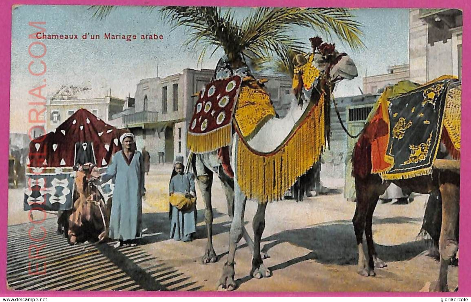 Ag2775 - EGYPT - VINTAGE POSTCARD - 1908 - Other & Unclassified