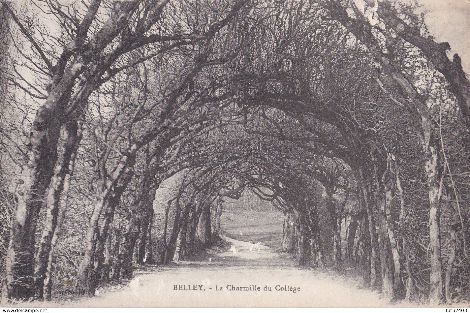 BELLEY                        La Charmille Du College - Belley