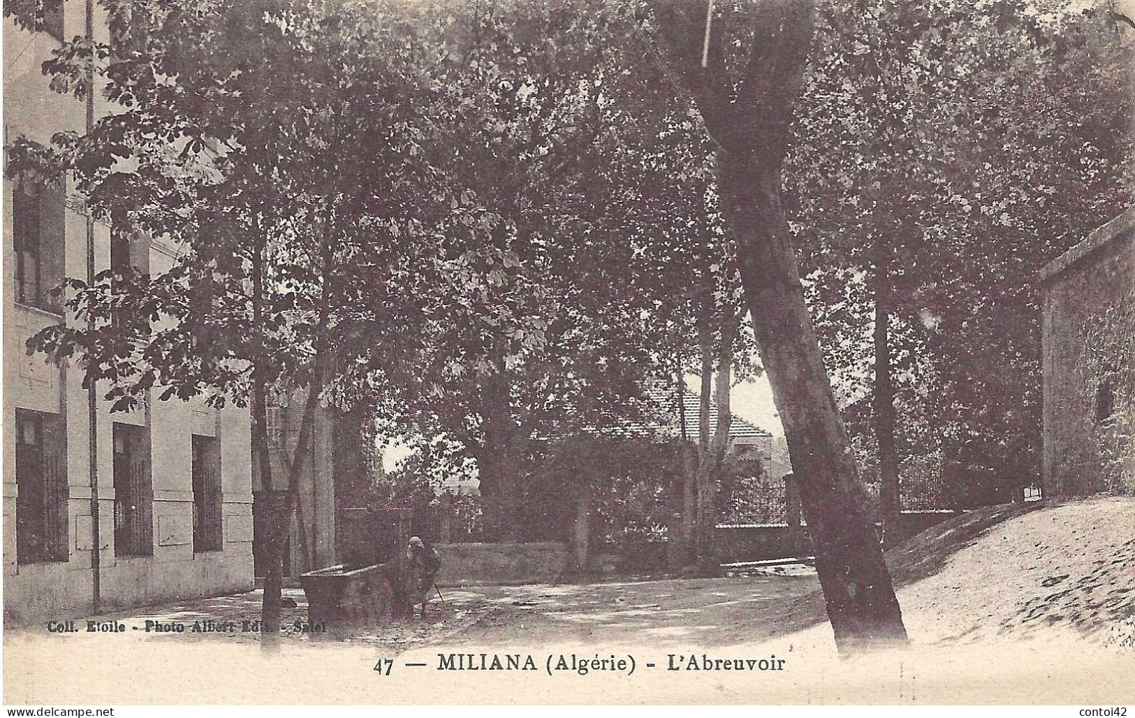 MILIANA N°47 ABREUVOIR  ALGERIE - Altri & Non Classificati