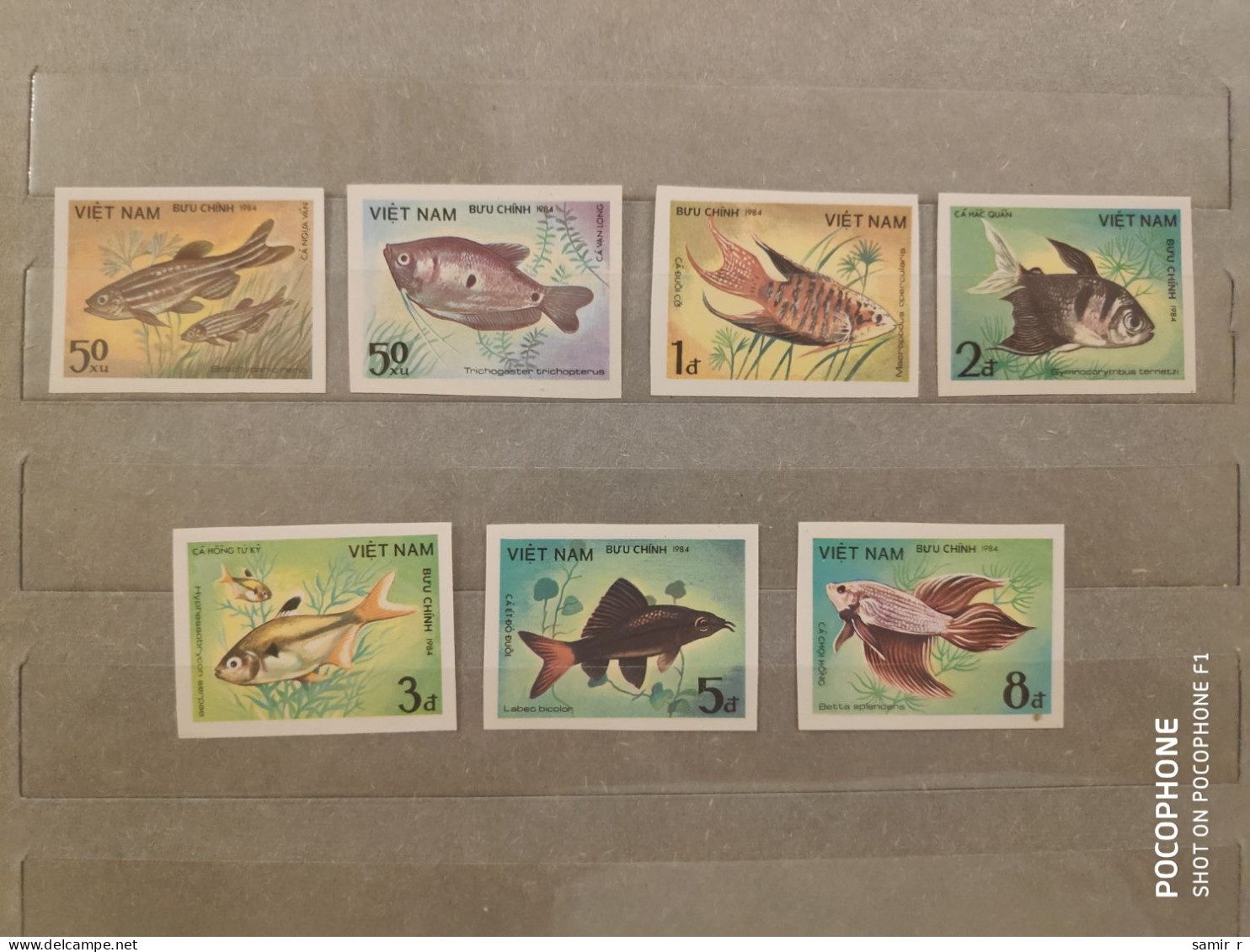 1984	Vietnam	Fishes (F94) - Viêt-Nam