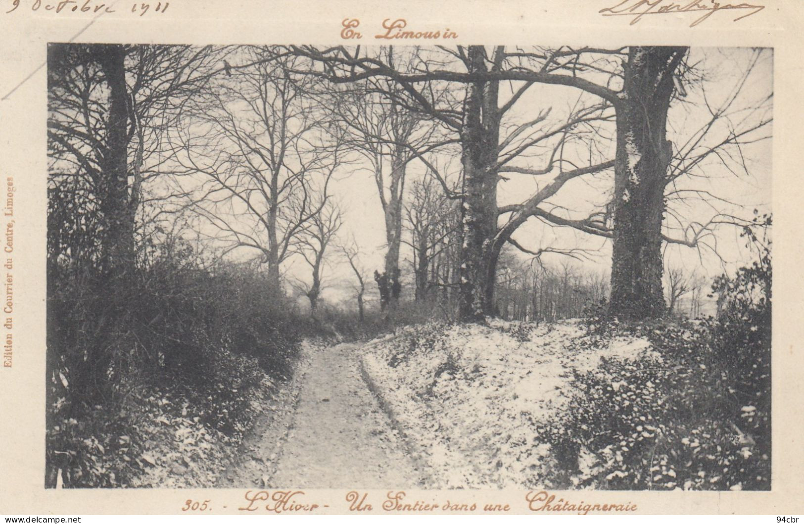 CPA ( 87 )   En Limousin L Hiver Un Sentier Dans Une Chataigneraie  (b.bur) - Eymoutiers