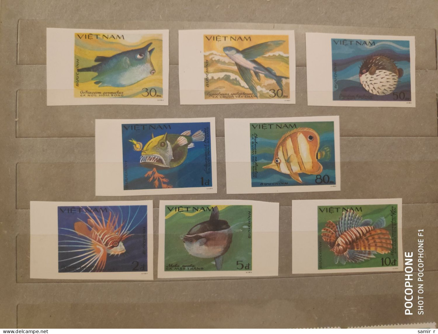 1984	Vietnam	Fishes (F94) - Vietnam