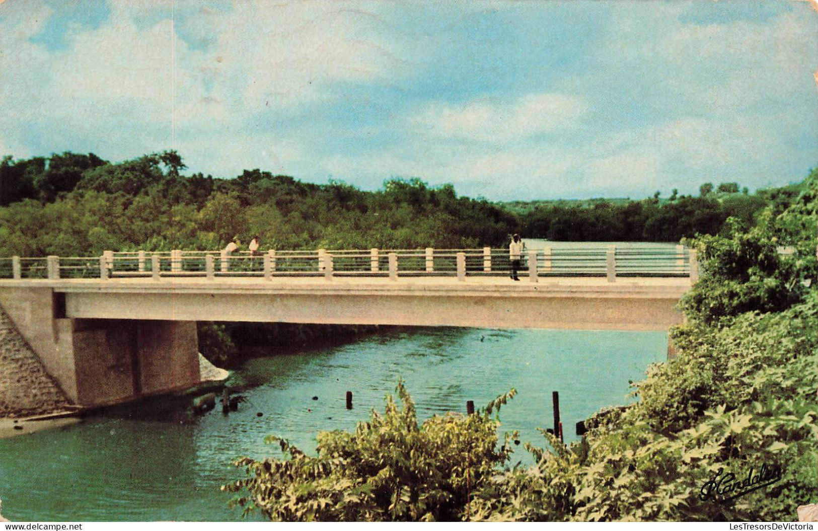 FRANCE - Guadeloupe - Le Moule - Le Pont De L'Autre Bord Et La Rivière D'Audouin - Colorisé - Carte Postale Ancienne - Pointe A Pitre