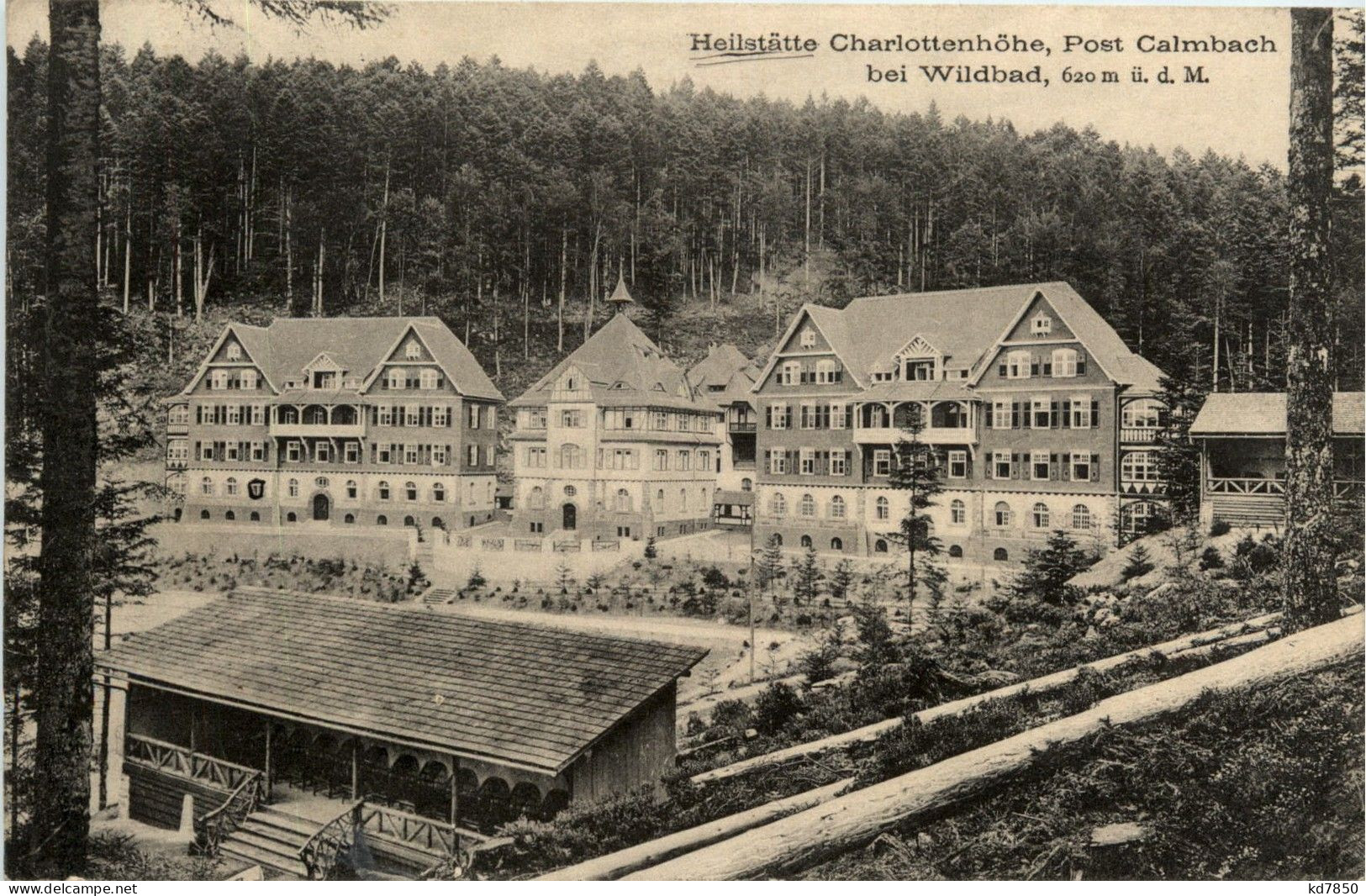 Wildbad - Charlottenhöhe - Calw