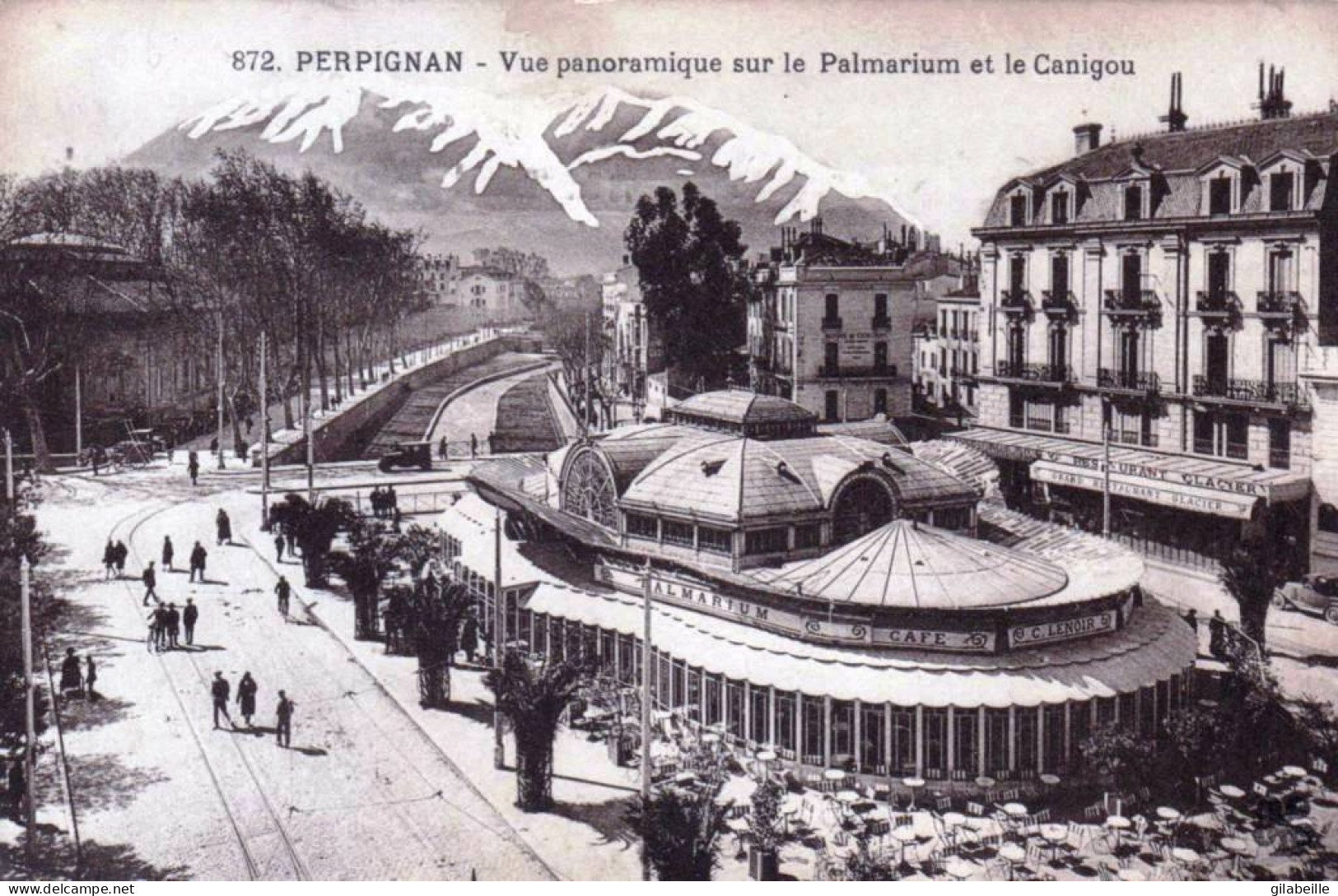 66 - PERPIGNAN - Vue Panoramique Sur Le Palmarium Et Le Canigou - Perpignan