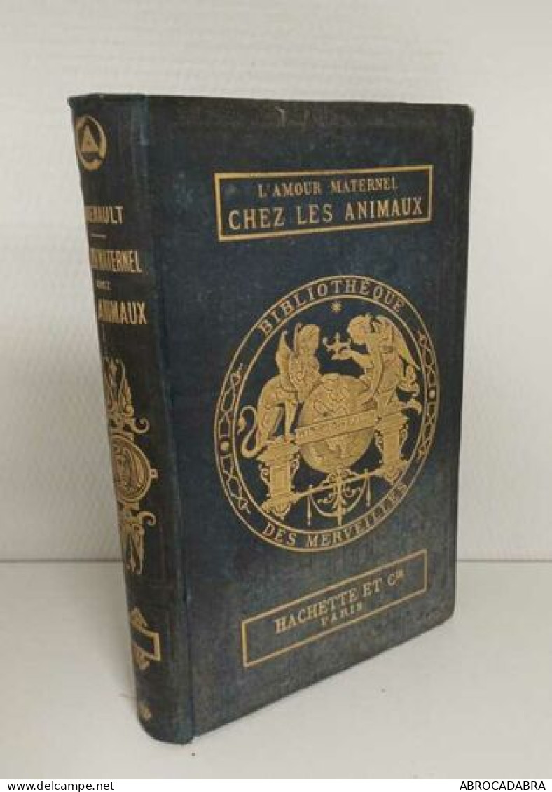 L'amour Maternel Chez Les Animaux - Animali