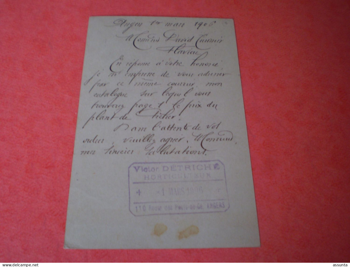 Carte Postale Commerciale Victor DETRICHE à Angers Horticulteur. Entier Postal 1906 - Landwirtschaftl. Anbau