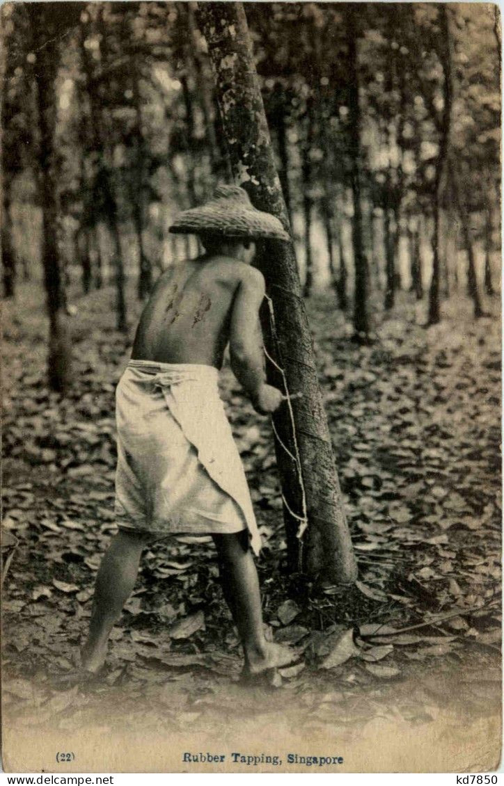 Singapore - Rubber Tapping - Singapour