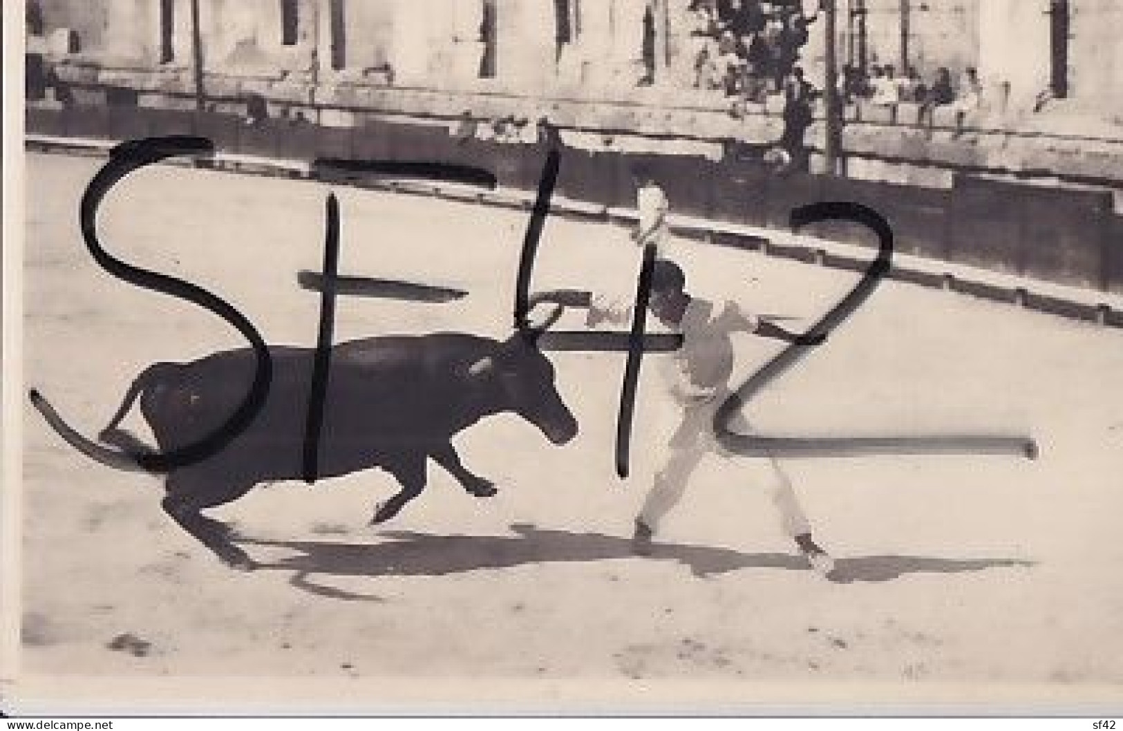 ARLES           CARTE PHOTO GEORGES     ARENES  CORRIDA    3 - Arles