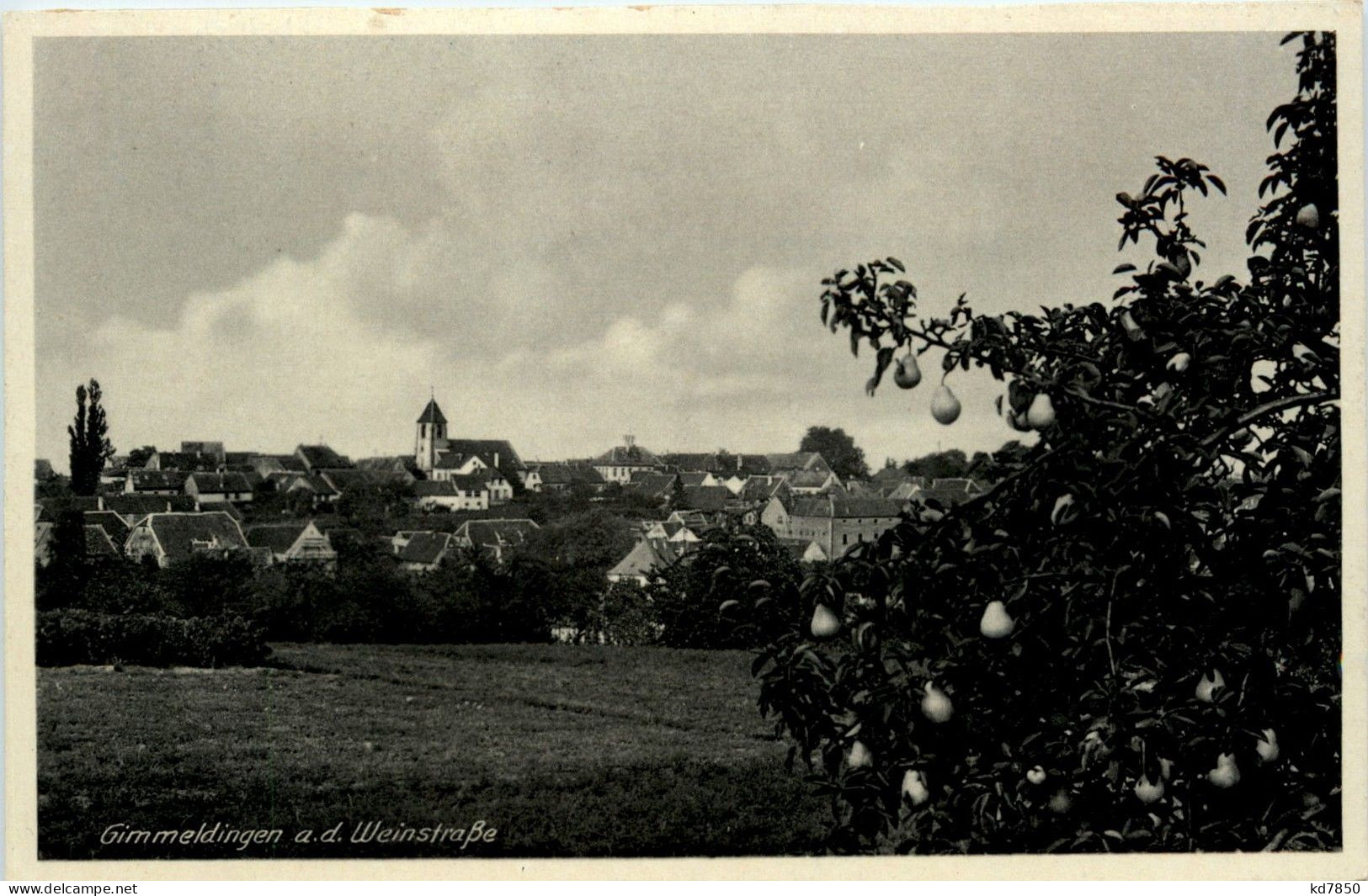 Gimmeldingen - Neustadt (Weinstr.)