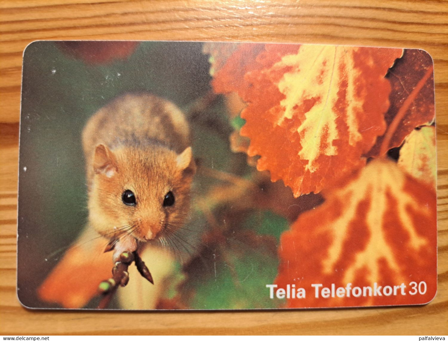 Phonecard Sweden - Hamster - Zweden