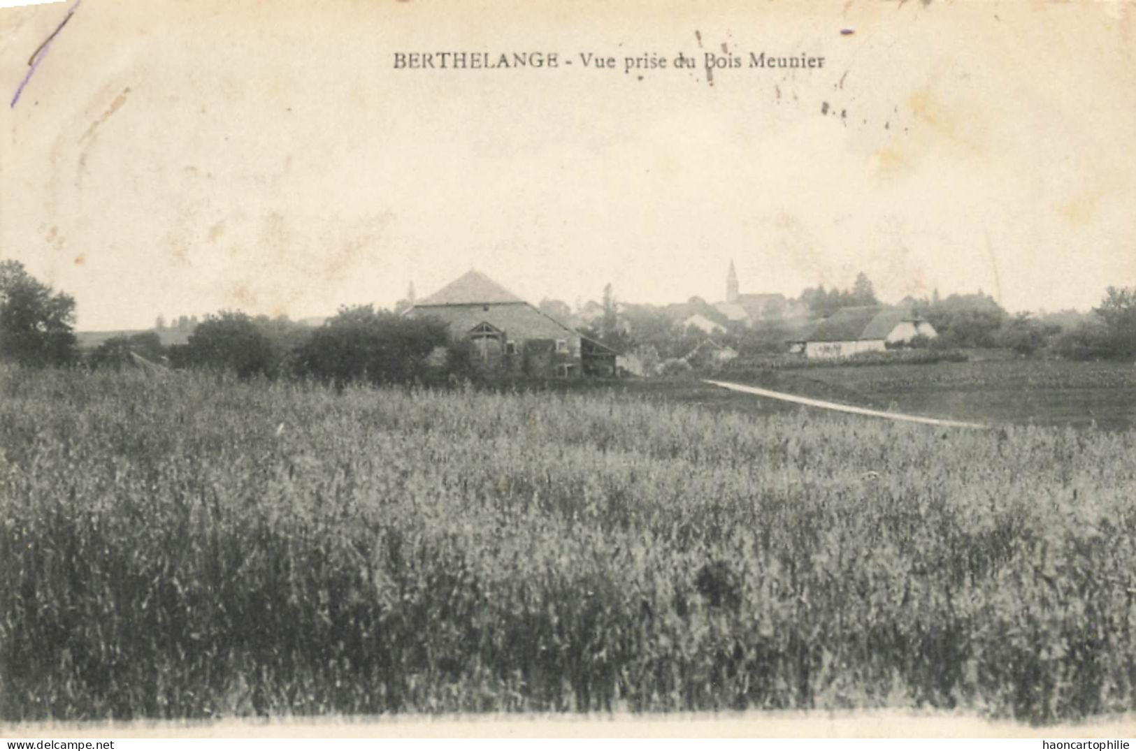 25 Berthelange  Vue Prise Du Bois Meunier - Autres & Non Classés