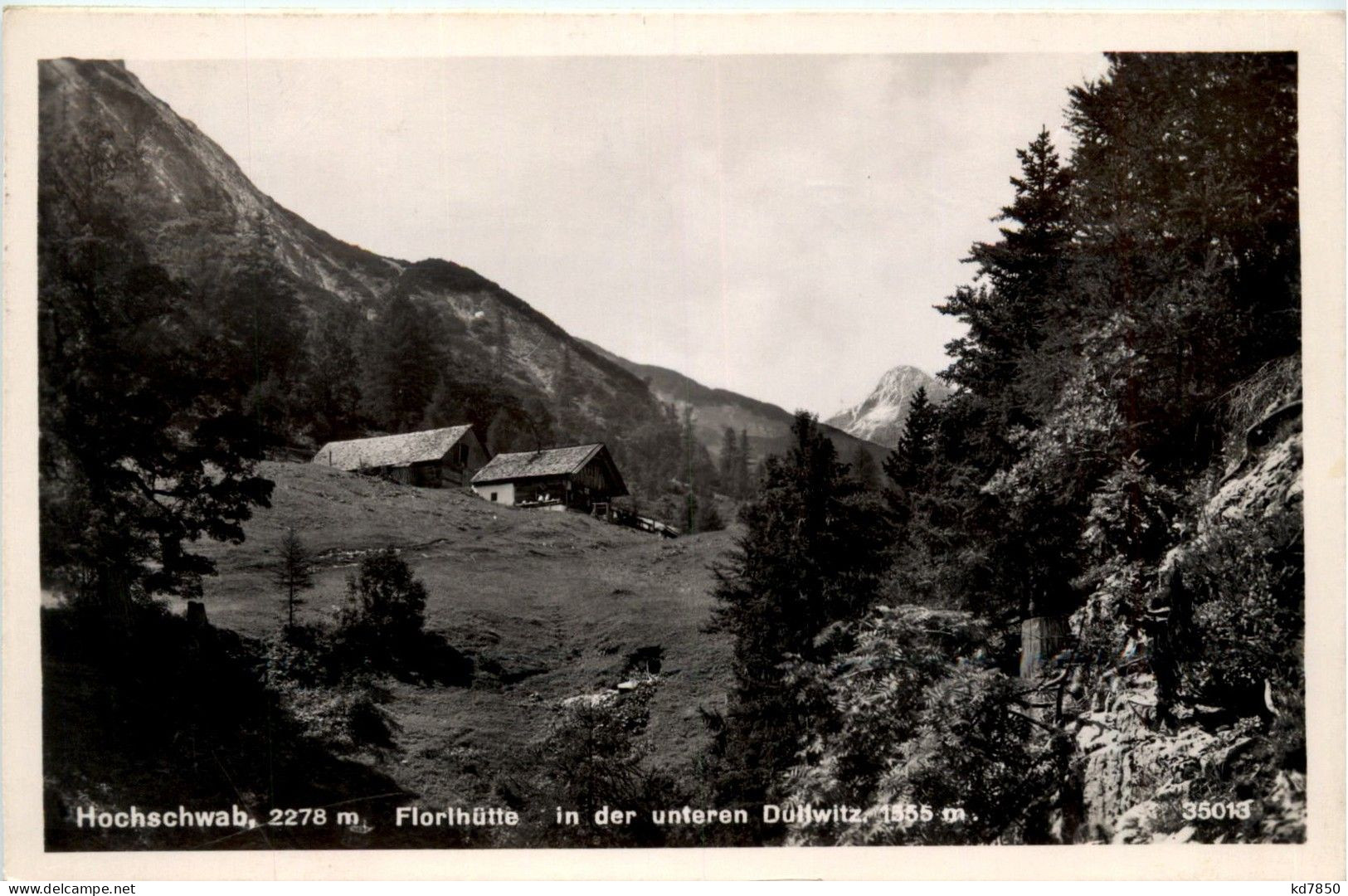 Mariazell/Steiermark - Hochschwab, Florlhütte, In Der Unteren Dullwitz - Mariazell