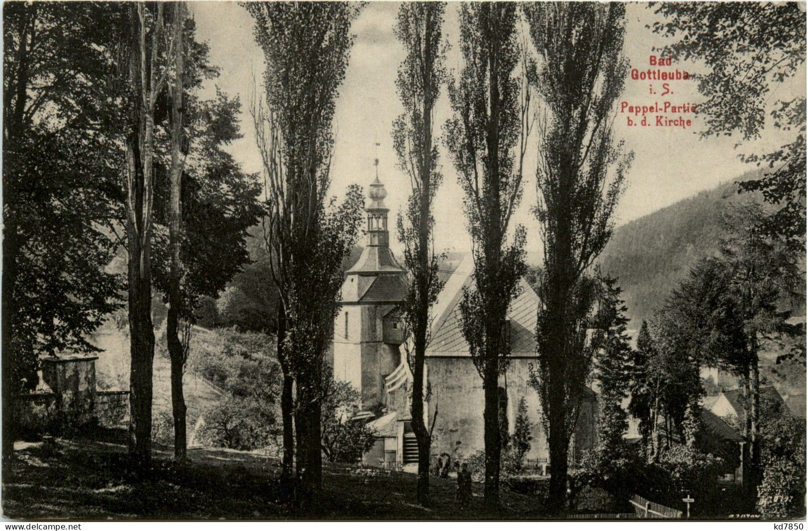 Bad Gottleuba - Pappel Partie Bei Der Kirche - Bad Gottleuba-Berggiesshübel