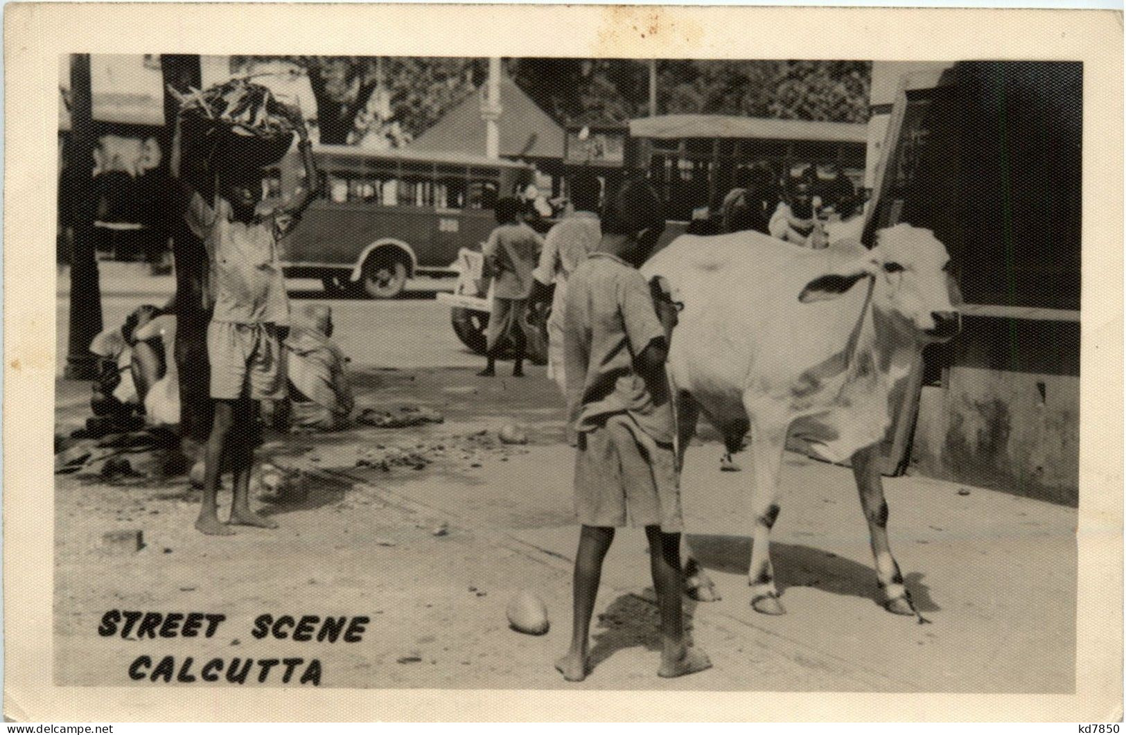 Calcutta - Street Scene - Inde