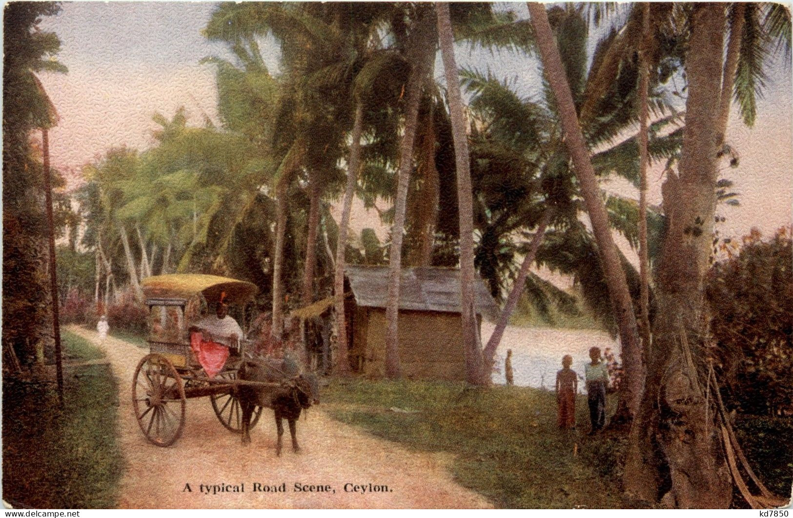 Ceylon - Road Scene - Sri Lanka (Ceilán)