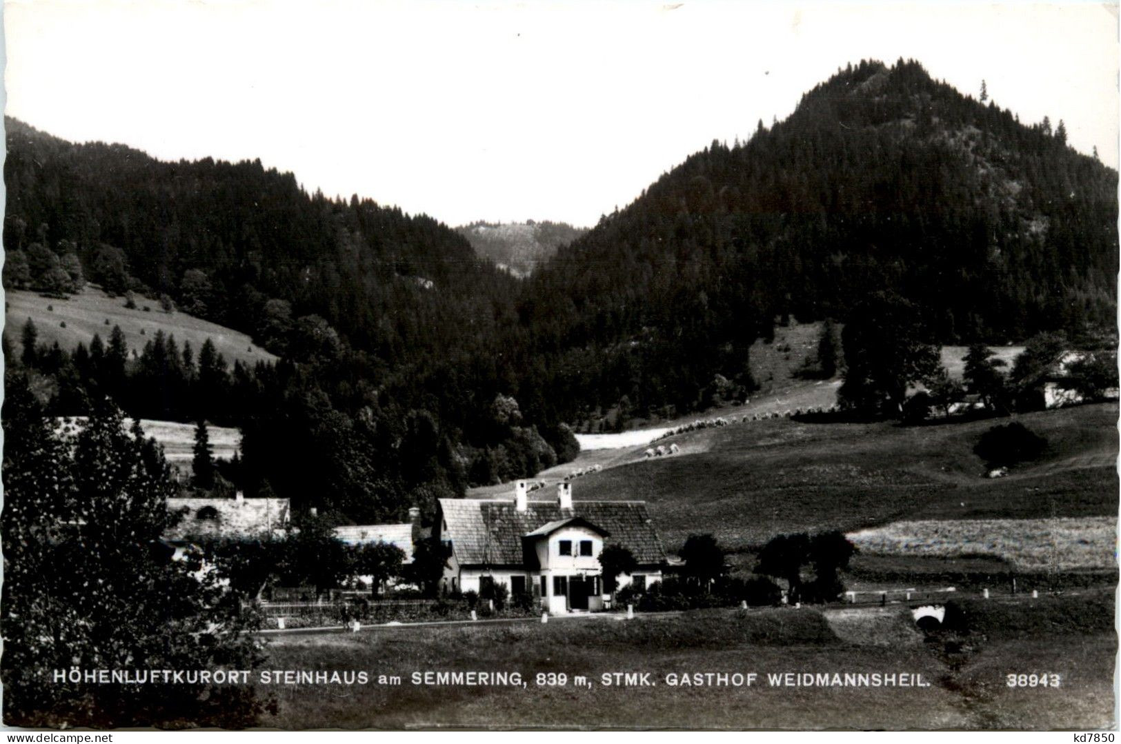 Mürzzuschlag/Steiermark - Steinhaus Am Semmering - Gasthof Weidmannsheil - Mürzzuschlag