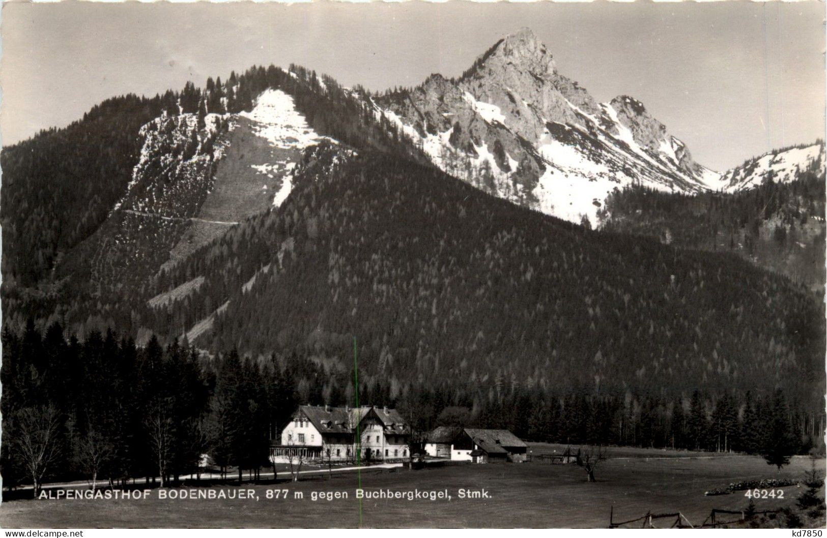 Mariazell/Steiermark - Alpengasthof Bodenbauer, Gegen Buchbergkogel - Mariazell