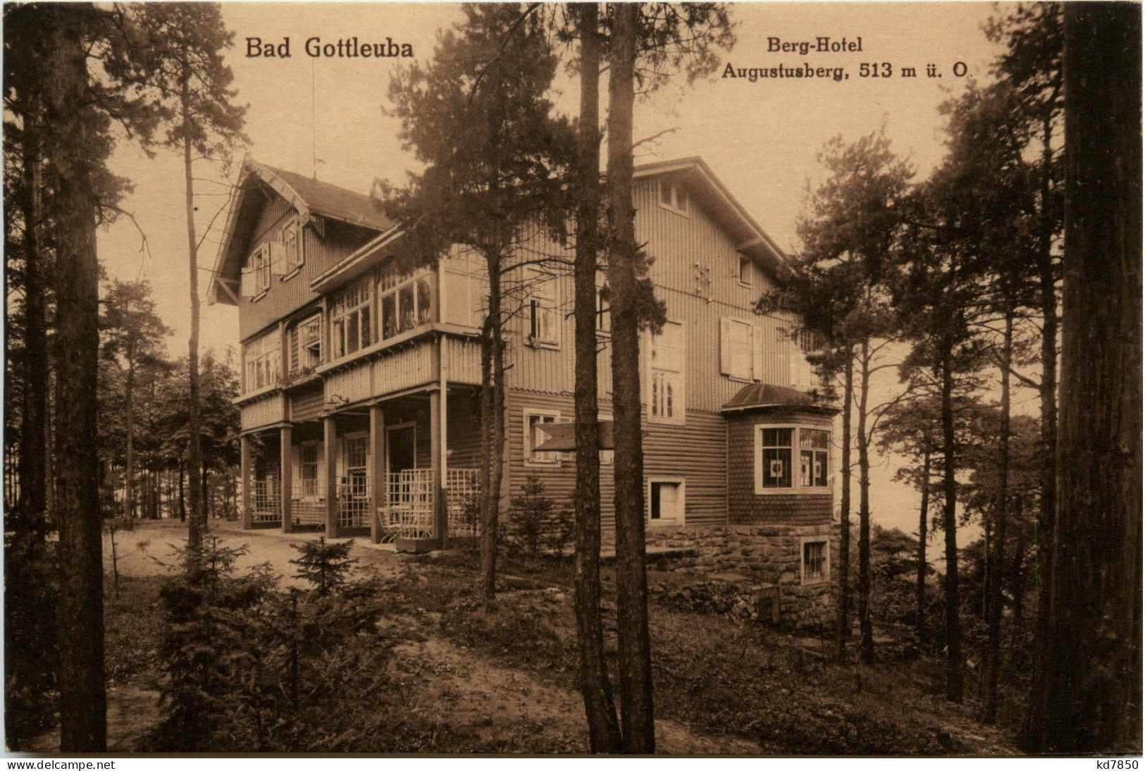 Bad Gottleuba - Berg Hotel - Bad Gottleuba-Berggiesshübel