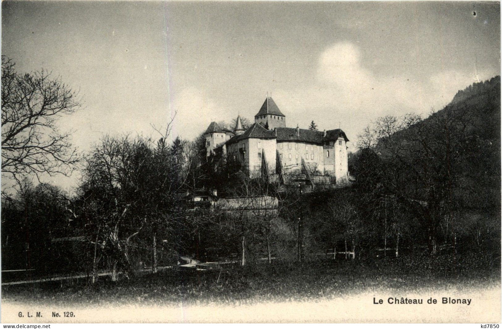 Le Chateau De Blonay - Blonay - Saint-Légier