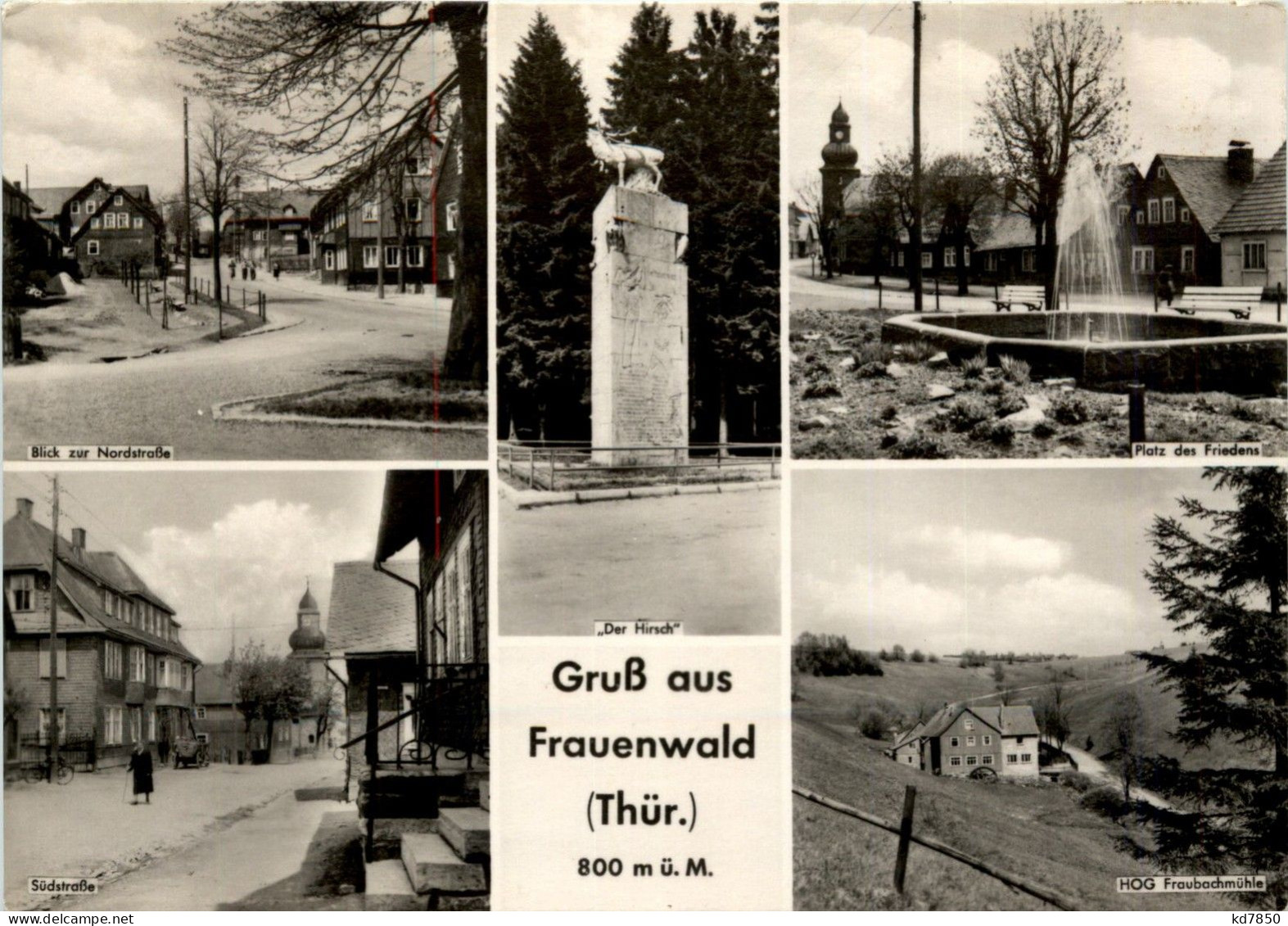 Gruss Aus Frauenwald - Ilmenau