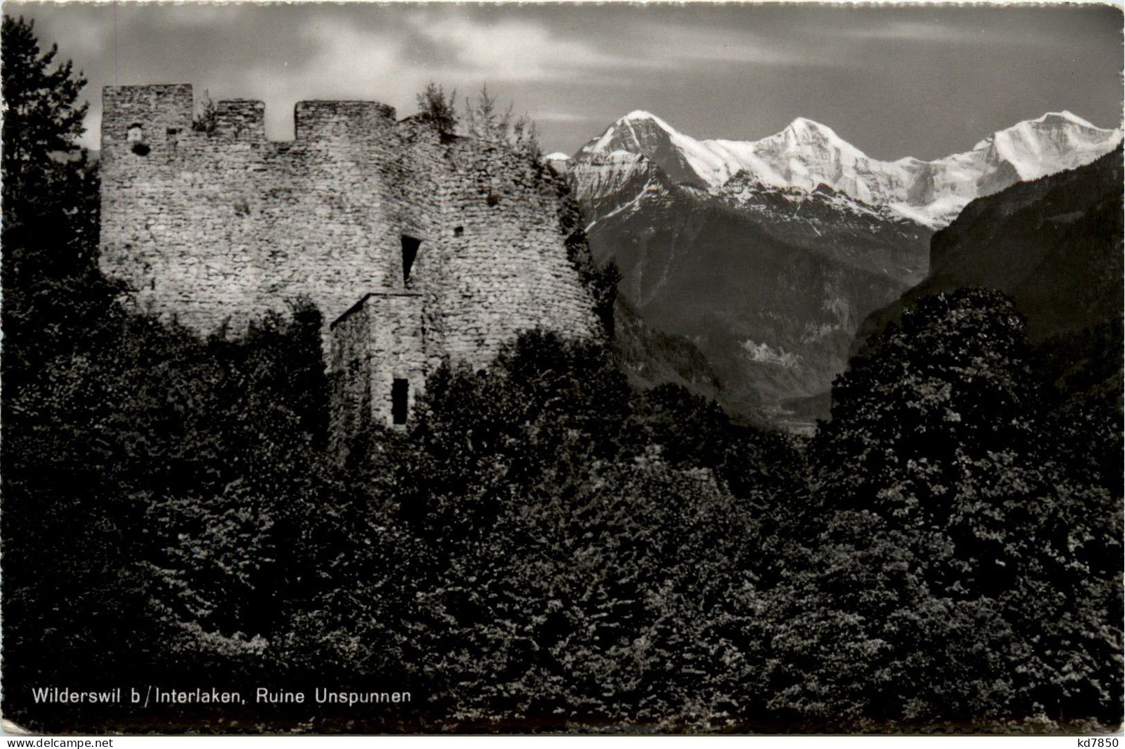 Wilderswil Bei Interlaken - Ruine Unspunnen - Wilderswil