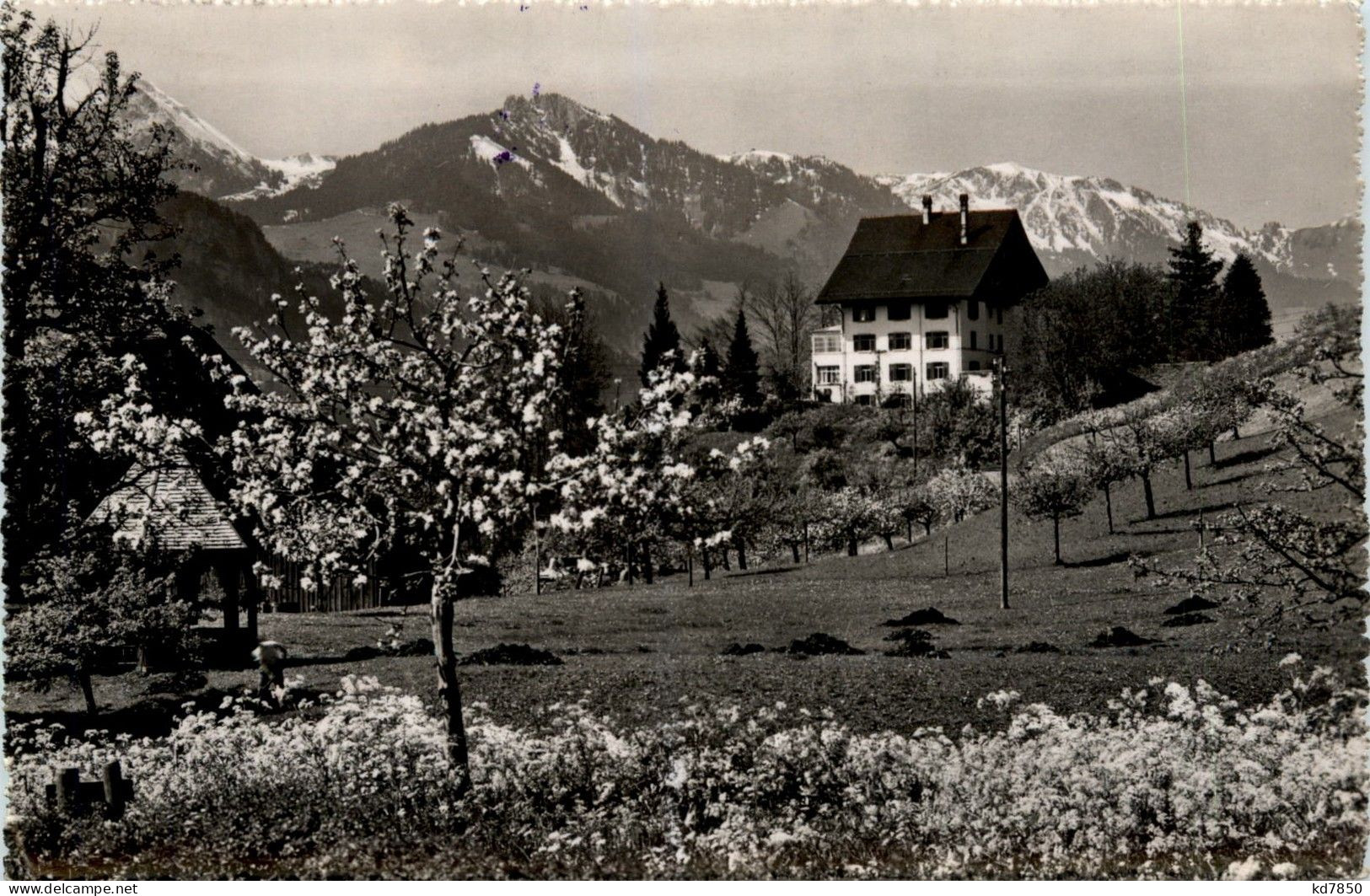 Brunnen - Ferienheime Bally - Autres & Non Classés