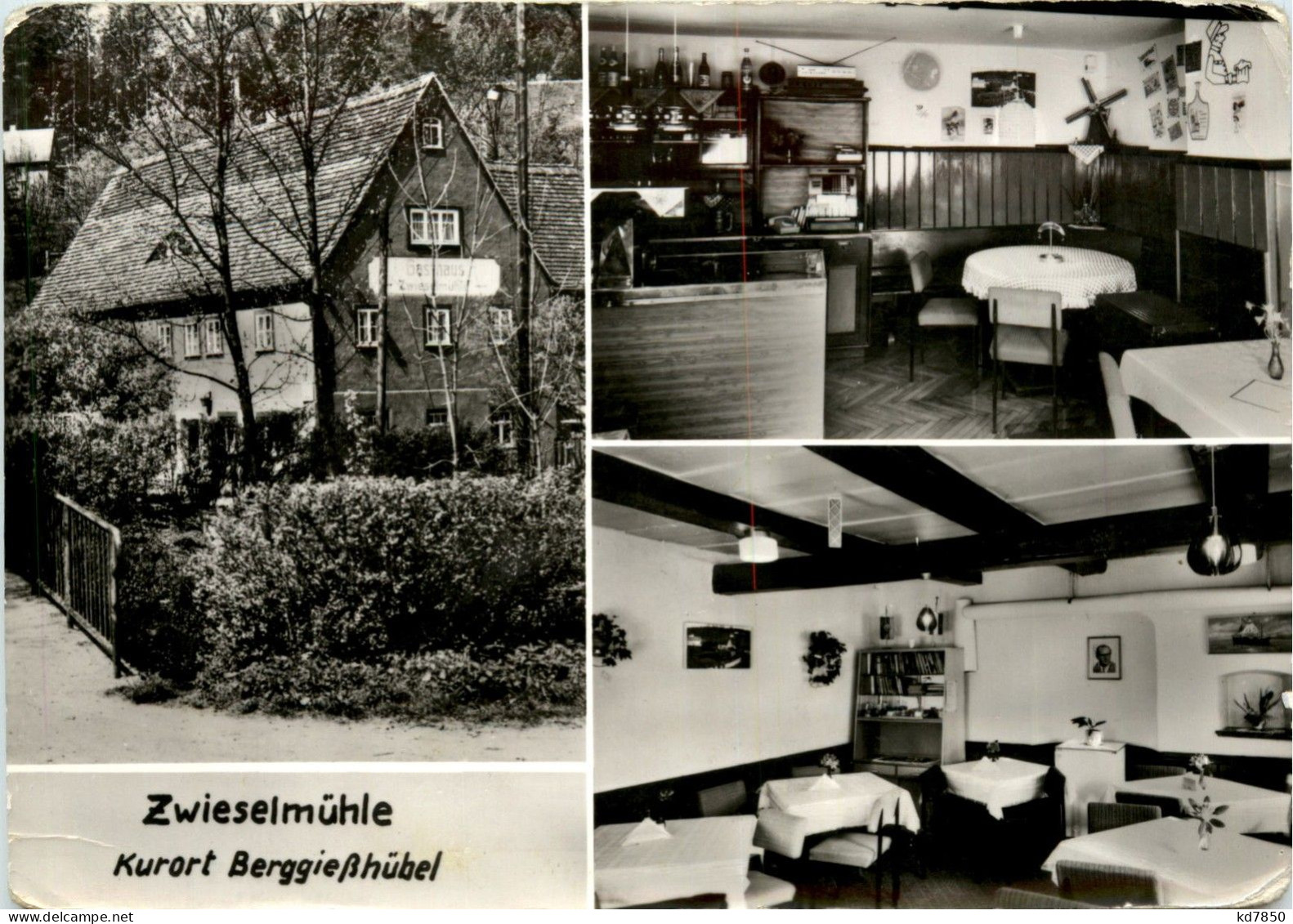 Zwieselmühle - Berggiesshübel - Bad Gottleuba-Berggiesshuebel