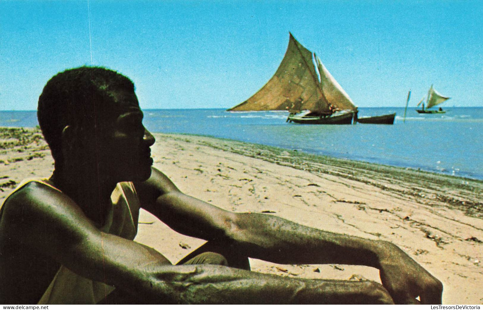 HAITI - A  Weathered Fisherman Relaxes Ashore On Beautiful Virgin Beaches- Colorisé - Animé - Carte Postale - Haiti