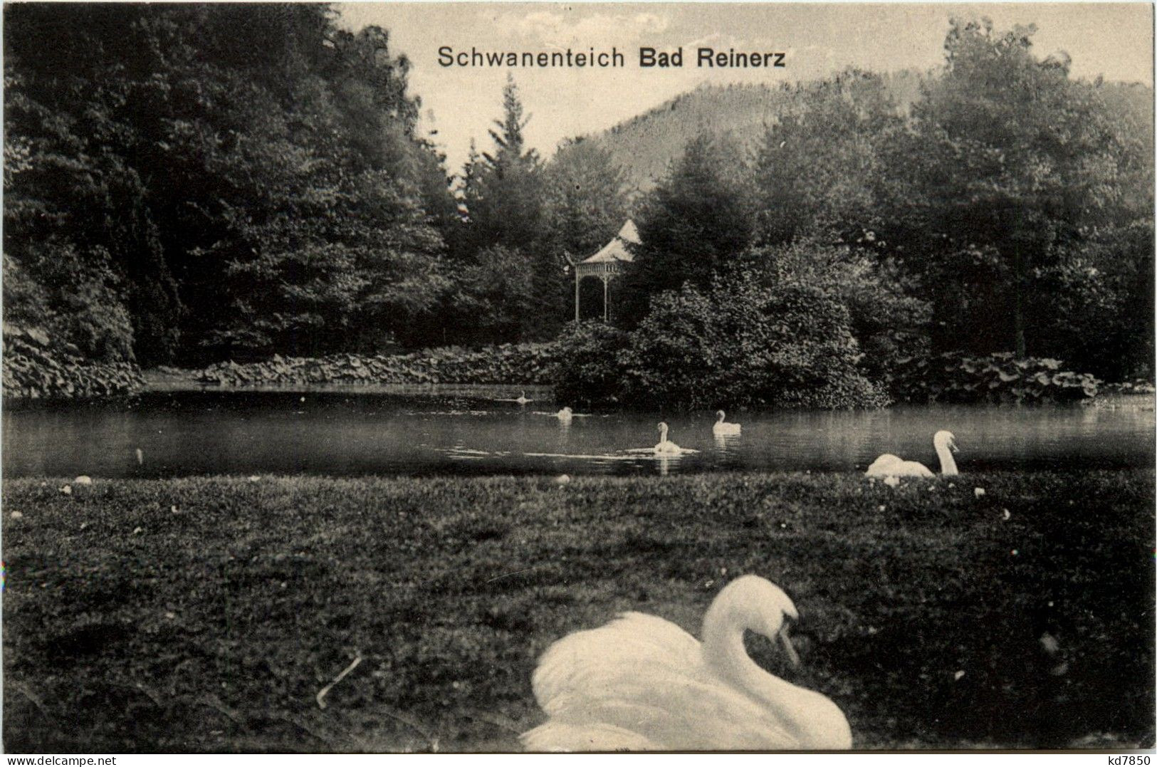 Bad Reinerz - Schwanenteich - Polen