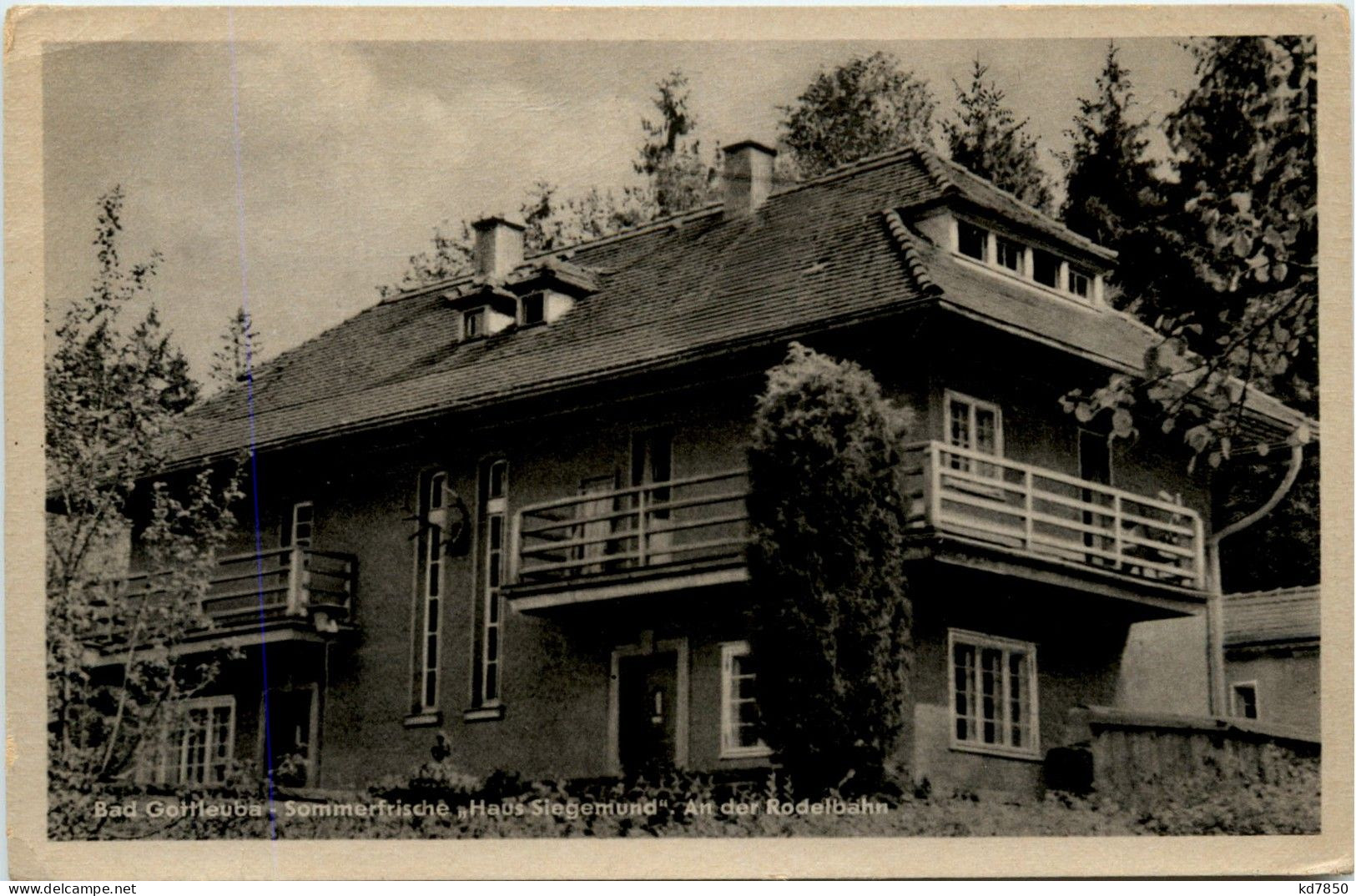 Bad Gottleuba - Haus Siegmund - Bad Gottleuba-Berggiesshuebel