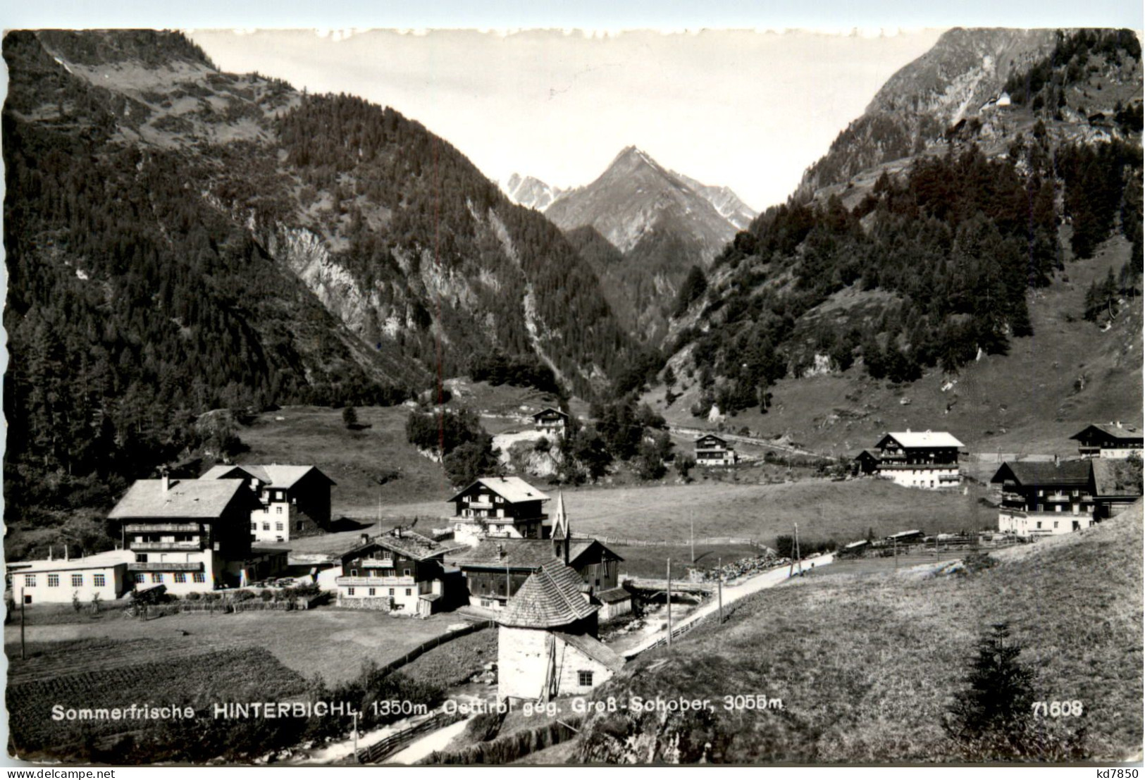 Osttirol, Sommerfrische Hinterbichl , Gegen Gross-Schober - Lienz