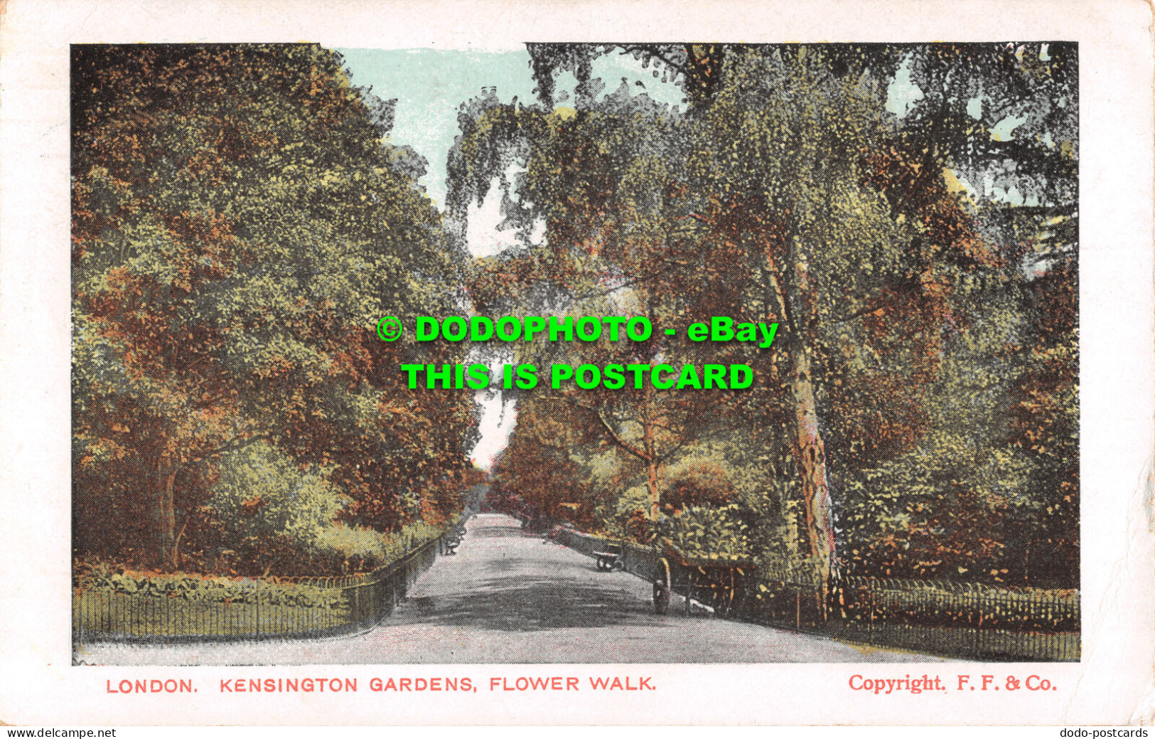 R498884 London. Kensington Gardens. Flower Walk. F. F. And Co. G. D. And D - Other & Unclassified