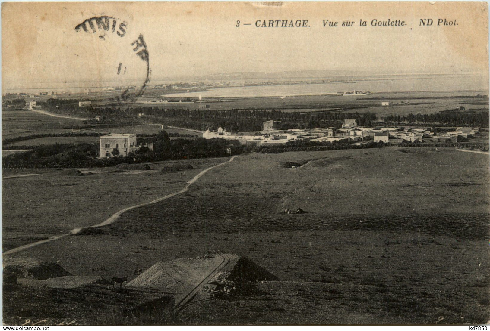 Carthage - Tunisie