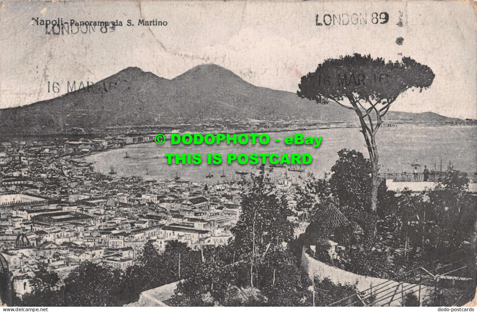 R499235 Napoli. Panorama Da S. Martino. Ed. Trampetti E Migliaccio - Monde