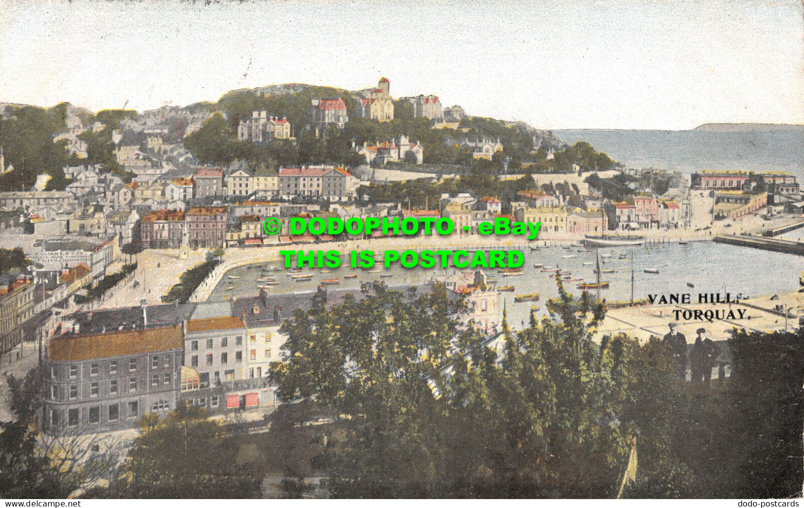 R499236 Torquay. Vane Hill. Postcard. 1906 - Monde