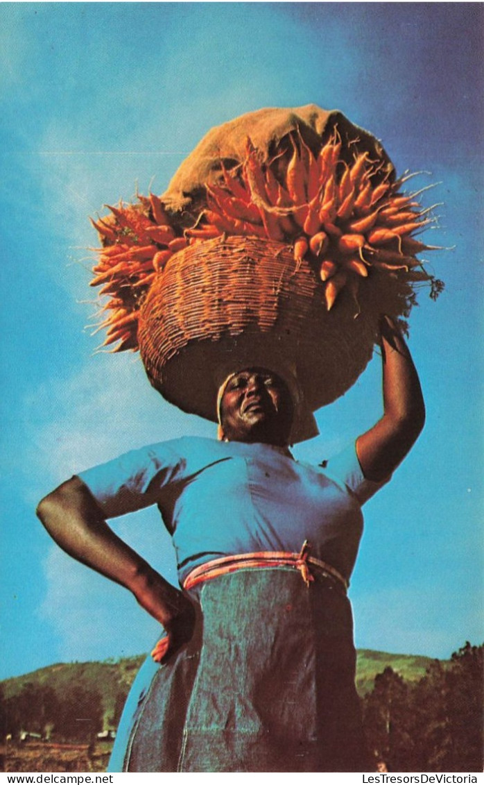 HAITI - Haiti's Marchandes Carry Heavy Baskets Of Produce Often Weighing 100 Pounds - Colorisé - Animé - Carte Postale - Haïti