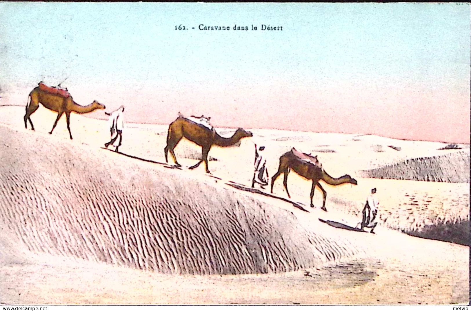 1931-LIBIA Caravan Dans Le Desert Viaggiata Tripoli (14.2) - Libyen