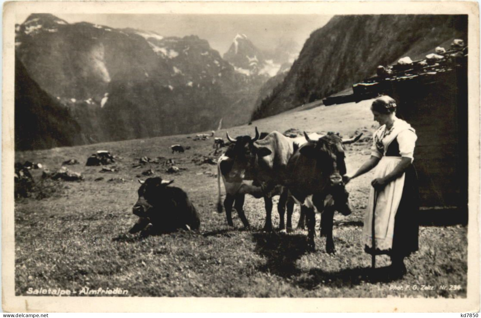 Saletalpe, Almfrieden - Berchtesgaden