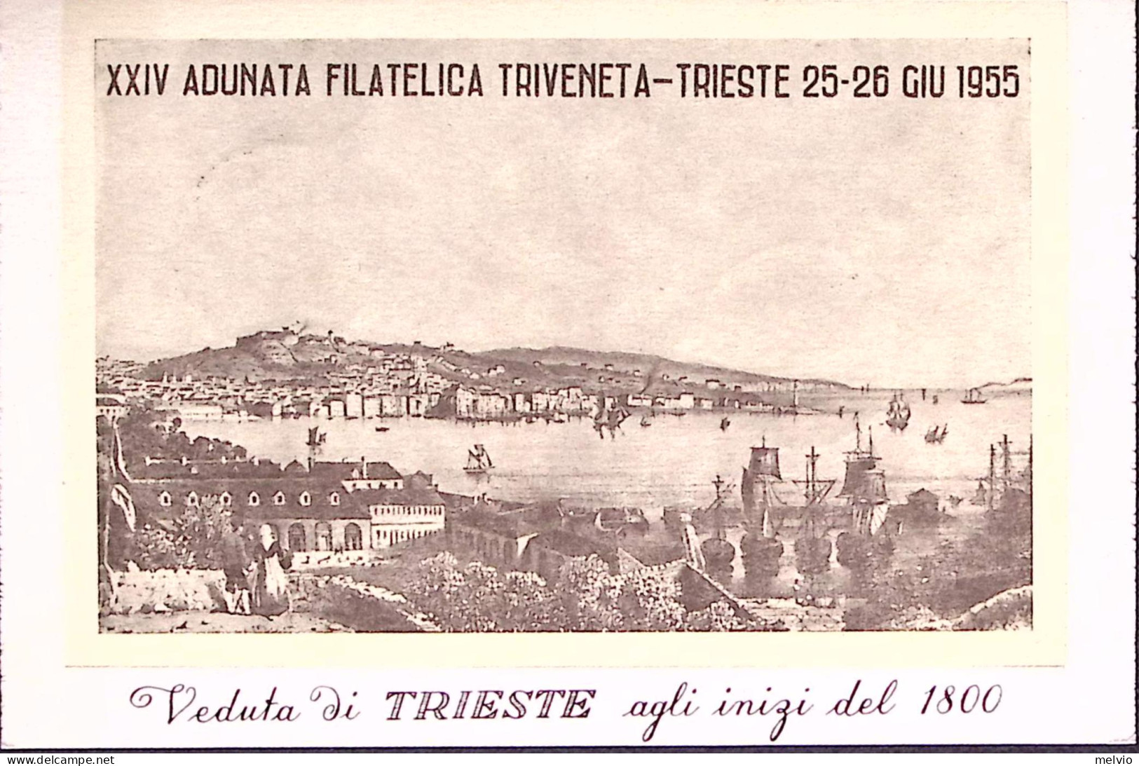 1955-TRIESTE Giornata Filatelica Triveneta Annullo Speciale (26.6) Su Cartolina - Trieste