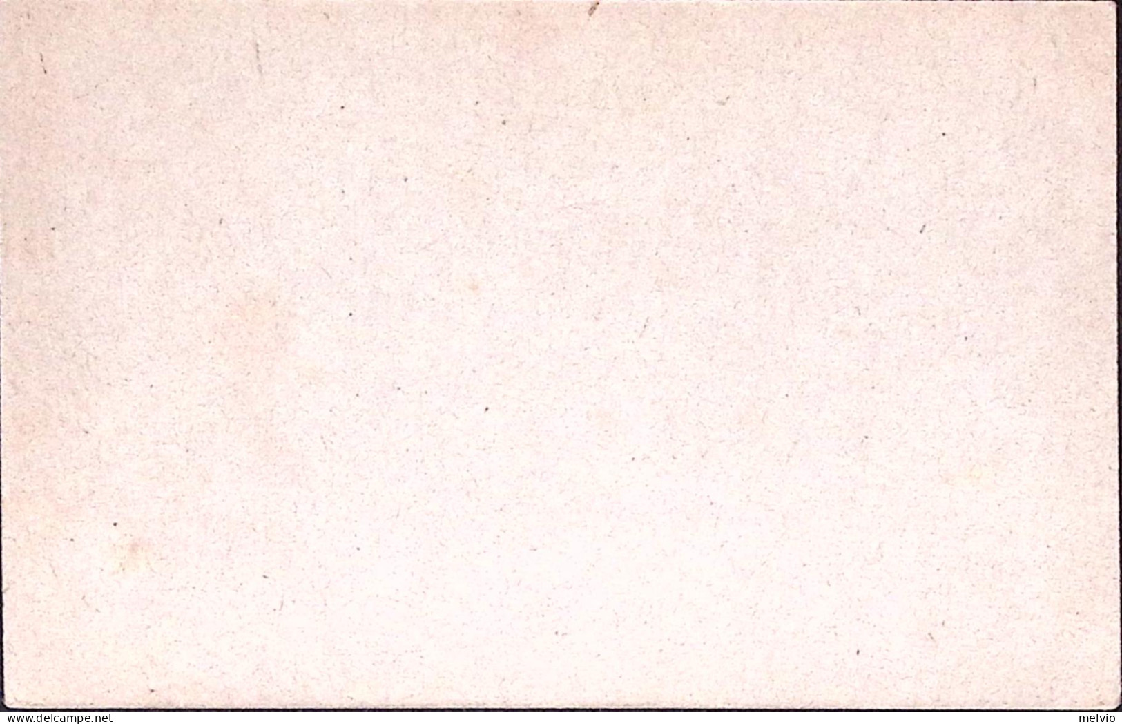 1918-Cartolina Franchigia Vittoria E Bandiere, CARTIERE BINDA-MILANO (mm 23,5) N - Marcophilia