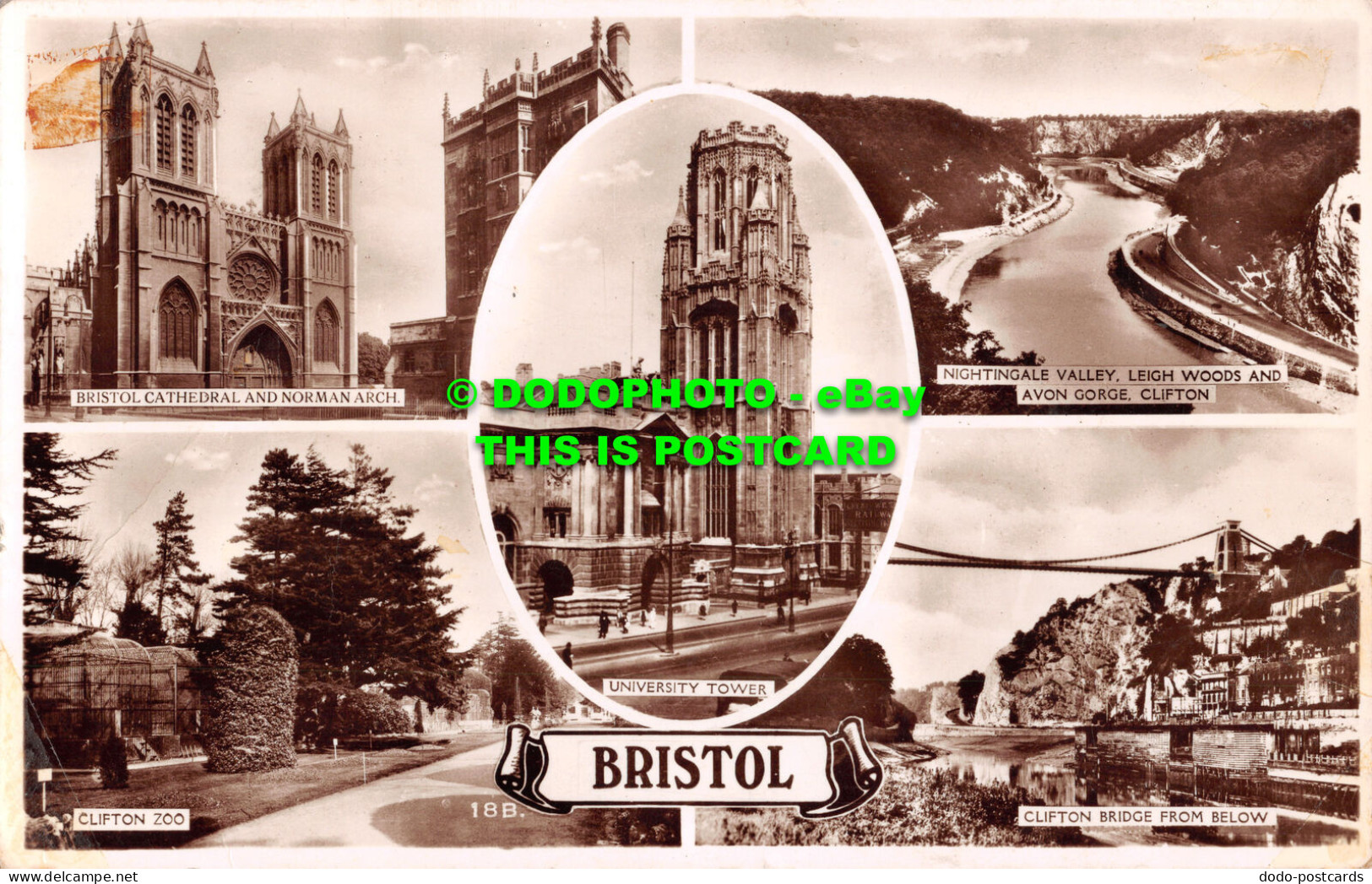 R499493 Bristol. Clifton Zoo. RP. Multi View - Monde