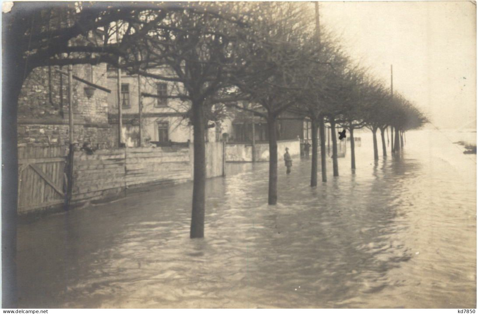 Hönningen Rhein - Überschwemmung - Bad Hoenningen