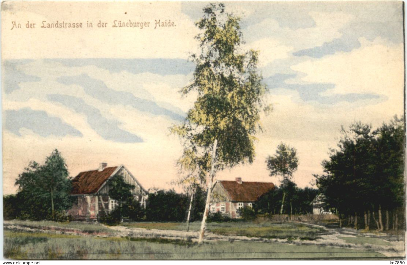 An Der Landstrasse In Der Lüneburger Heide - Lüneburg