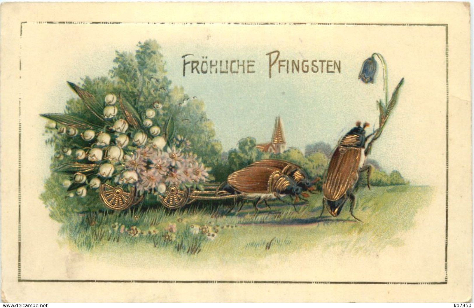 Pfingsten - Maikäfer - Pfingsten