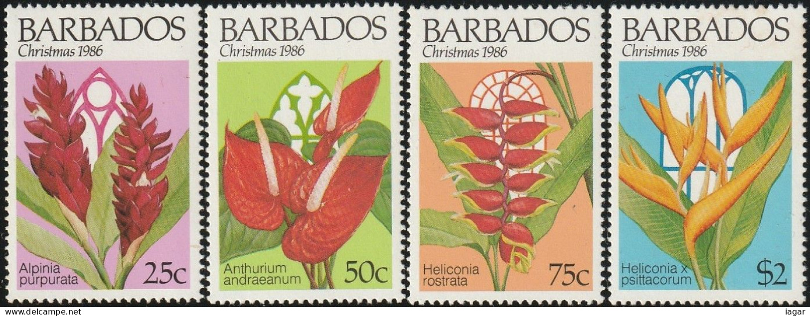 THEMATIC CHRISTMAS:  CHRISTMAS FLOWERS    -    BARBADOS - Natale