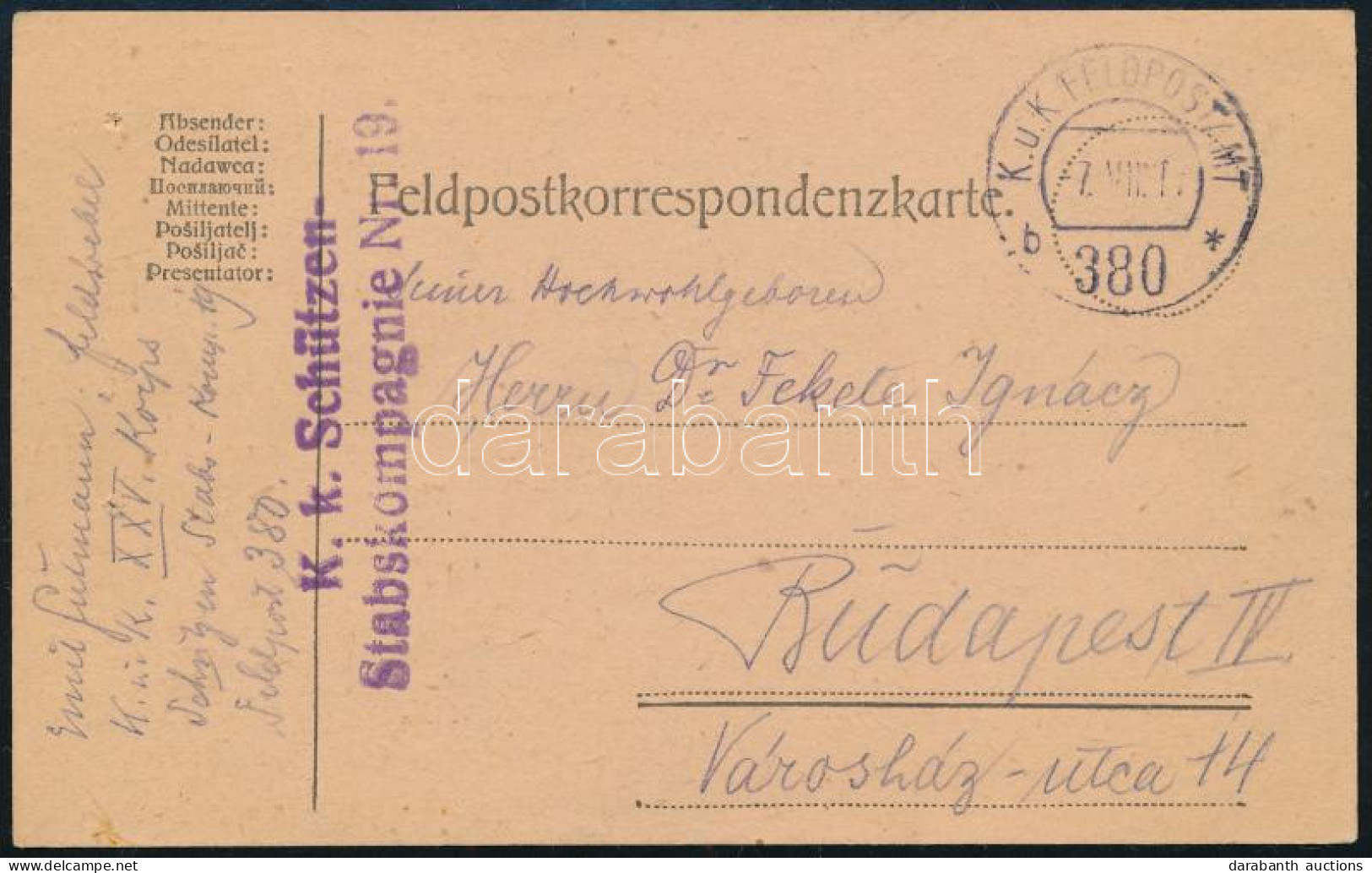1917 Tábori Posta Levelezőlap "K.k. Schützen Stabskompagnie Nr.19." + "FP 380 B" - Autres & Non Classés