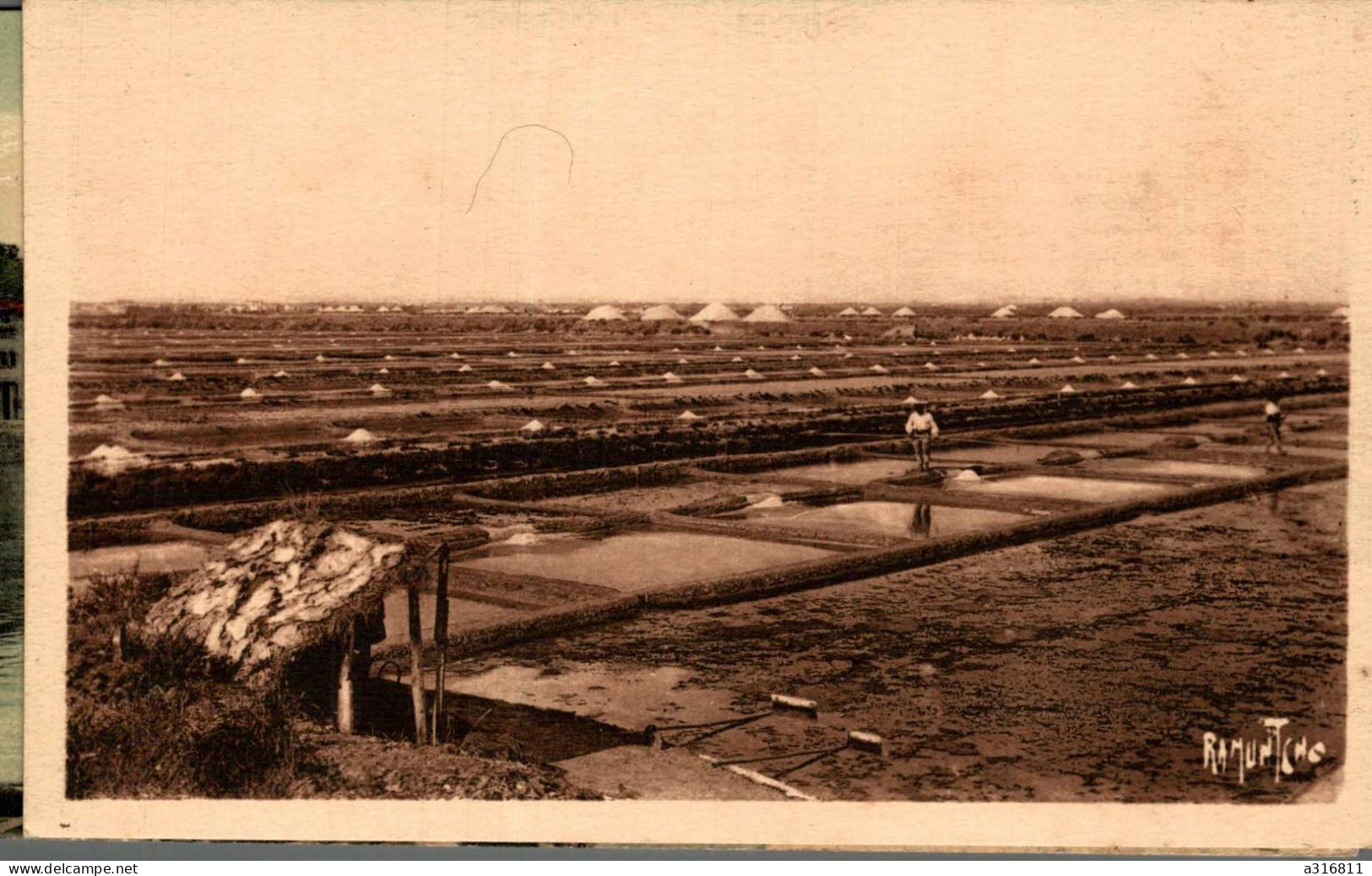 Ile D Oleron Le Plan D Un Marais Salant - Ile D'Oléron