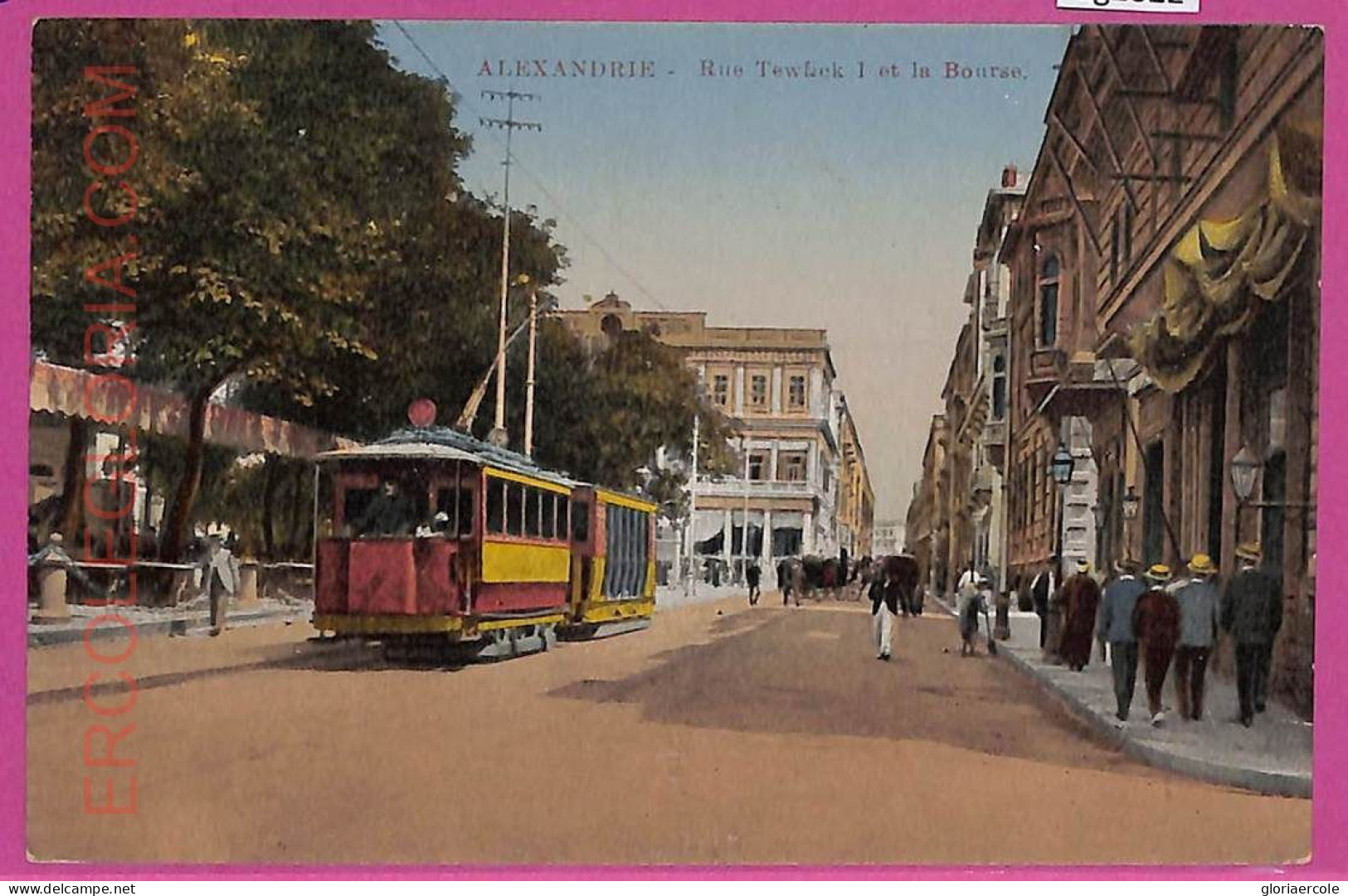 Ag2822 - EGYPT - VINTAGE POSTCARD - Alexandrie - Alexandria