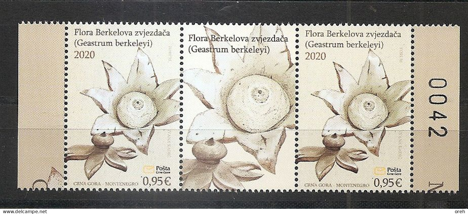 MONTENEGRO 2020,FLORA,GEASTRUM BERKELEYI,WIGNETTE,,,MNH - Mushrooms